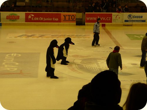 Hockey match between MU and VUT