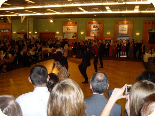 ESF MU ball in hotel Voroněž