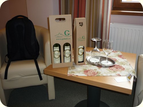 MEMICS 2010 – Mikulov