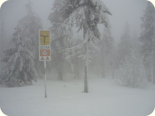 Skiing 2011 – Janské Lázně
